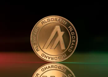 Algorand Hits New All-Time Low Amid Market Downturn