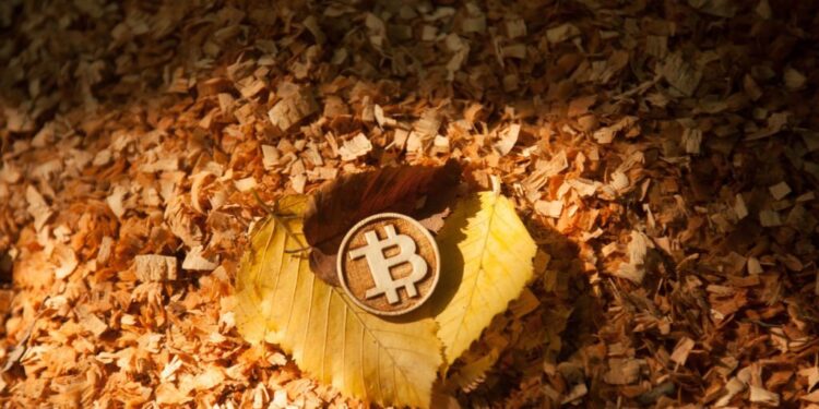 Bitcoin Fate Hangs On $25,400 Support, $20,500 Looms As Potential Bottom