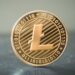 Grayscale’s Win Breathes Life Into Litecoin, Post-Halving Rally On?