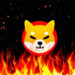 SHIB Burn Rate Jump 1,100% Amid Expectations Of Shibarium Relaunch