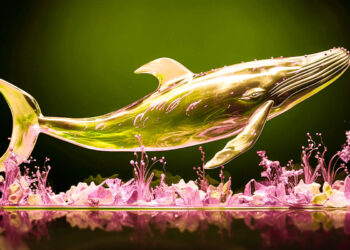 Whales Move Over $380,000,000 in Bitcoin, Ethereum, Dogecoin and Gnosis – Here’s Where the Crypto’s Headed