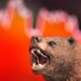 YGG Surged 580% Before Crashing, Why Are Whales Rapidly Selling?