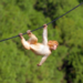 Apecoin Shatters Key Level – Should Investors Get Worried?