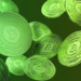 Bitcoin Cash Records Surprising 20% Rally