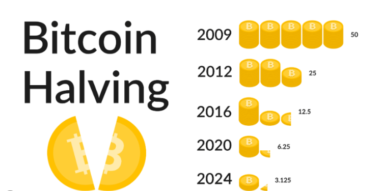 Unleashing the Potential of the 2024 Halving on Prices