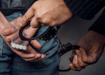 S Korean Police Arrest 312 ‘Crypto Drug Traders’