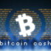 Bitcoin Cash Price Could Restart Increase To $250 If It Breaks This Resistance