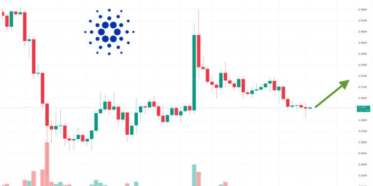 Cardano Price Prediction as Blockchain Transactions Surge Up Nearly 50% in 3 Months – Are Whales Moving to Cardano?