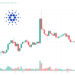 Cardano Price Prediction as Blockchain Transactions Surge Up Nearly 50% in 3 Months – Are Whales Moving to Cardano?