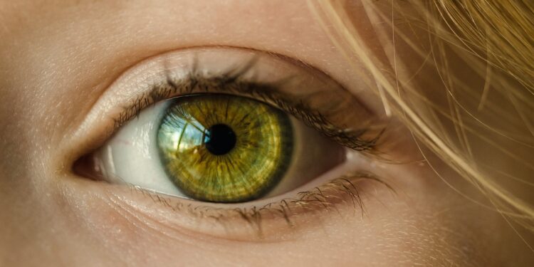 Argentina Becomes Latest Country to Conduct Probe Into Iris-Scanning Worldcoin’s Privacy Issues