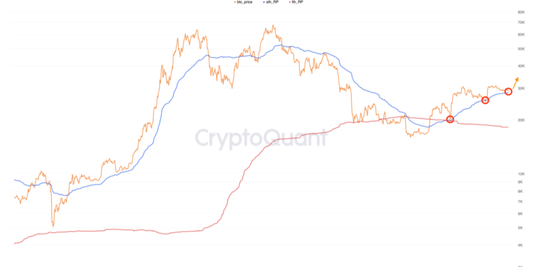 Bitcoin Plunges To $28,500, Will This Historical Support Hold Again?