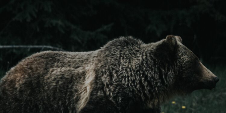 Dark Days Ahead As $29,200 Support Fails