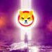 Crypto Exchange Binance Announces Addition of Shiba Inu (SHIB) As Collateral Asset for Flexible Loans
