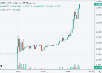 Cat Coin, Shibarium Token Pumping on Uniswap
