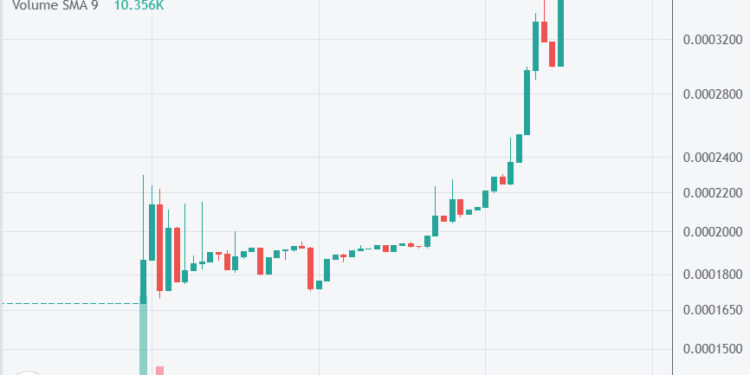 Cat Coin, Shibarium Token Pumping on Uniswap