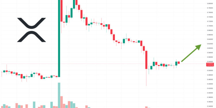XRP Price Prediction as $1.5 Billion Trading Volume Floods In – Are Whales Buying?