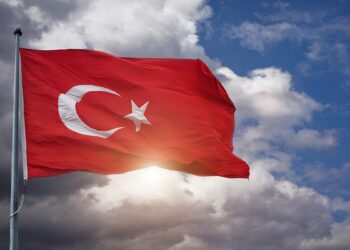 News Explorer — Half of the People in Turkey Now Own Crypto: Report