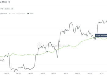 Breaking Bitcoin (BTC) Wallets Cross 48 Million for the First Time