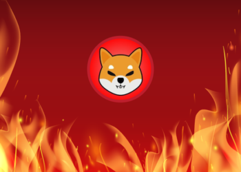 Shiba Inu Lead Dev Confirms Development Of Burn Portal