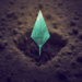 Ethereum remains undervalued: Should you bet on ETH?
