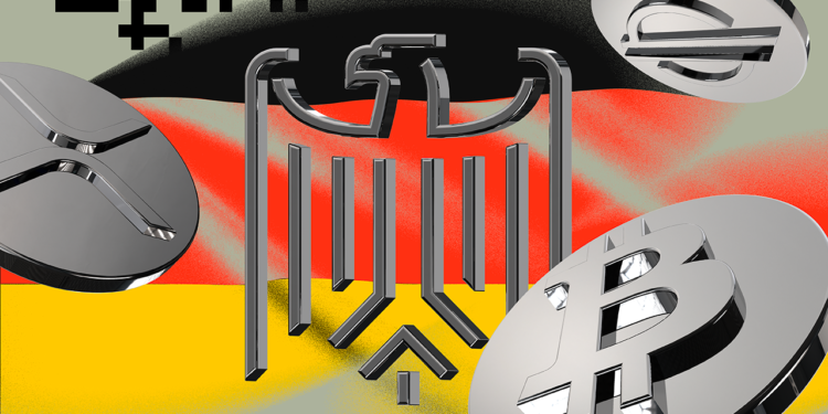 German Watchdog Exec Predicts More Crypto Crashes, Calls For Regulations