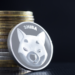 Calcium Token Explodes 7,400% After Shiba Inu Rejection. Qube Shatters $3.25m Mark