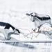 Crypto Market Flips Green Amid Ethereum Futures ETF Approval, Dollar Weakness