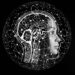 Here are the Most Bullish AI Coins of 2023: Render, Fetch.ai, yPredict