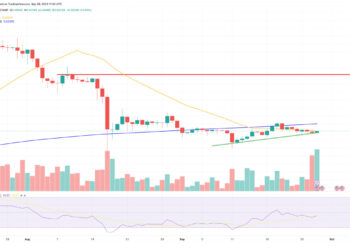 XRP Price Prediction as XRP Trading Volume Exceeds BNB. Can XRP Top $1 Before End of 2023?