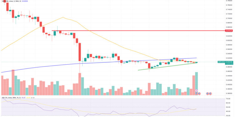 XRP Price Prediction as XRP Trading Volume Exceeds BNB. Can XRP Top $1 Before End of 2023?