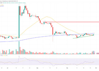 Ripple Price Prediction as XRP Market Cap Grows 2%. Strong October Ahead?