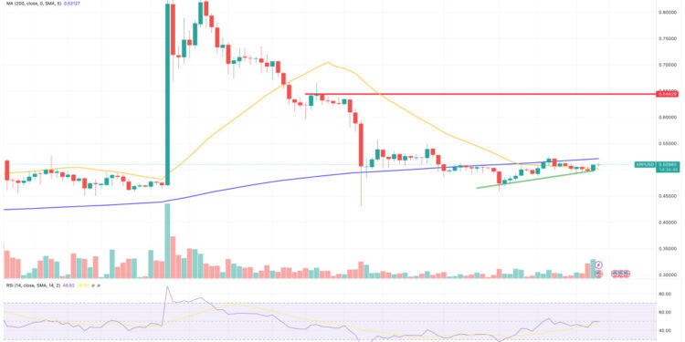 Ripple Price Prediction as XRP Market Cap Grows 2%. Strong October Ahead?