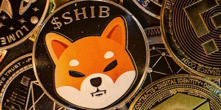 Shiba Inu’s Shibarium Hits 600k Wallets and 700k Transactions