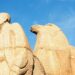 China May Explore New Silk Road/BRI CBDC Adoption