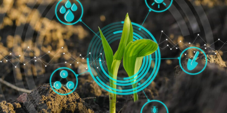 Jasmy Lab Partners with Kana Labs to Promote JasmyCoin and IoT