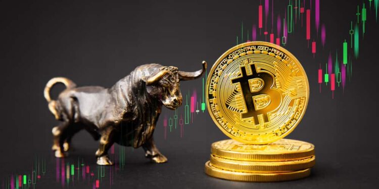 Why This Crypto Exchange Founder Believes Bitcoin Can Still Rise 150% From Here