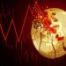 How An ‘Inconsequential’ Mistake Saw Bitcoin Crash To $8,000