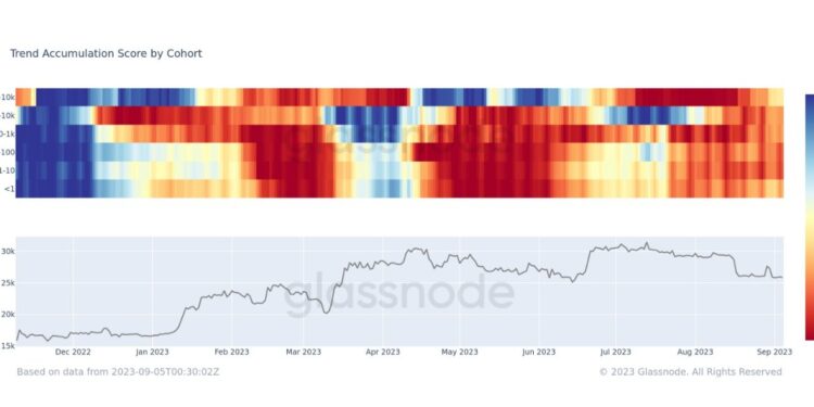 Whales Accumulate Bitcoin (BTC), But It’s Not BlackRock