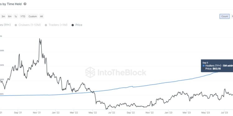 HODLers On Network Now Exceed 5 Million