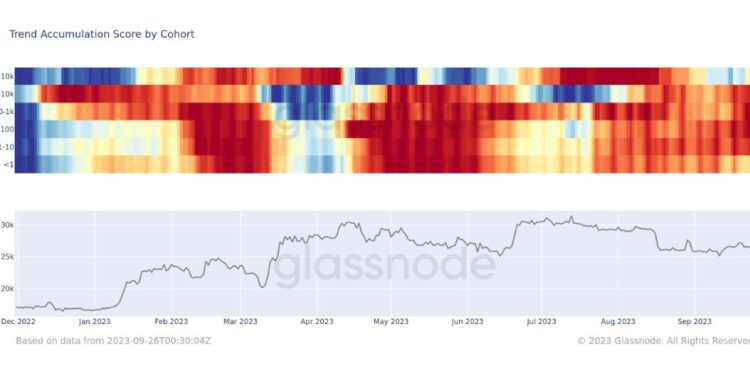 Bitcoin Mega Whales Return To Selling Mode, More Downside Soon?
