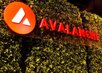 Avalanche Developer, Known for Minting Millionaires and Duds, Is Back With ‘WAGMI’ Tokens