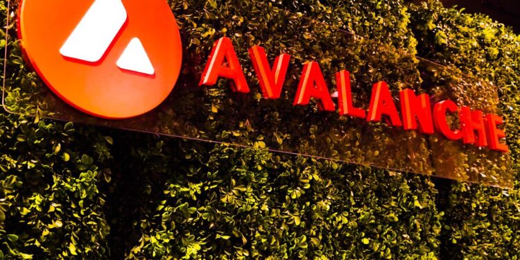 Avalanche Developer, Known for Minting Millionaires and Duds, Is Back With ‘WAGMI’ Tokens