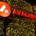 Avalanche Developer, Known for Minting Millionaires and Duds, Is Back With ‘WAGMI’ Tokens