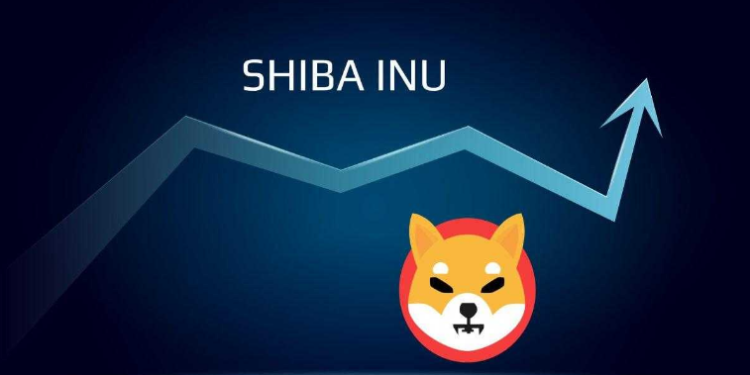 Shiba Inu Sees Increase In Accumulation By Major Investors
