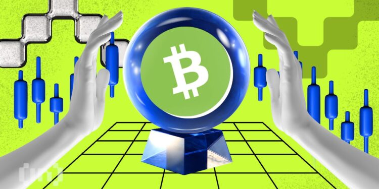Bitcoin Cash (BCH) Hodlers: 96% Now Committed for the Long Haul – Is $300 Next?