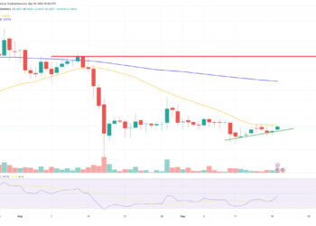 Dogecoin Price Prediction as NYDFS Removes DOGE From Greenlist – What’s Going On?