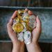 Grayscale Urges SEC to Greenlight Spot Bitcoin ETF ‘As Quickly As Possible’