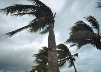 Ron DeSantis’ Crypto Campaign Donations Delayed by Hurricane