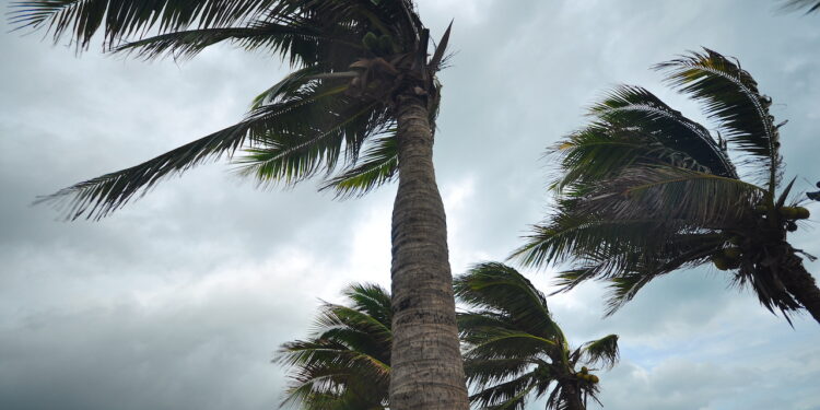 Ron DeSantis’ Crypto Campaign Donations Delayed by Hurricane