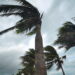Ron DeSantis’ Crypto Campaign Donations Delayed by Hurricane